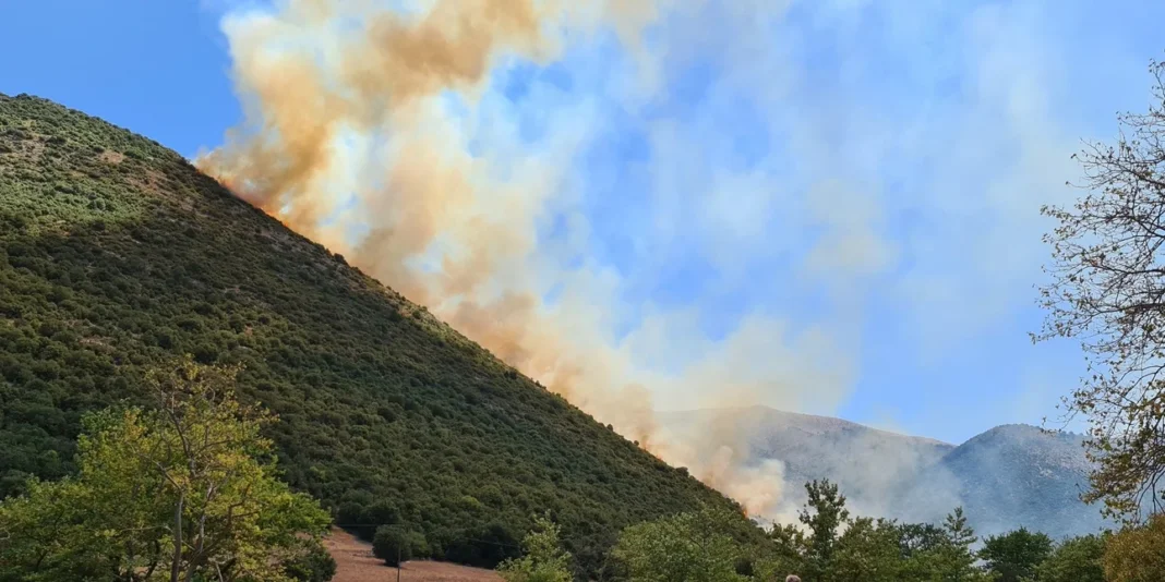 Φωτιά στο Λιβάρτζι Καλαβρύτων -Μήνυμα του 112 για ετοιμότητα