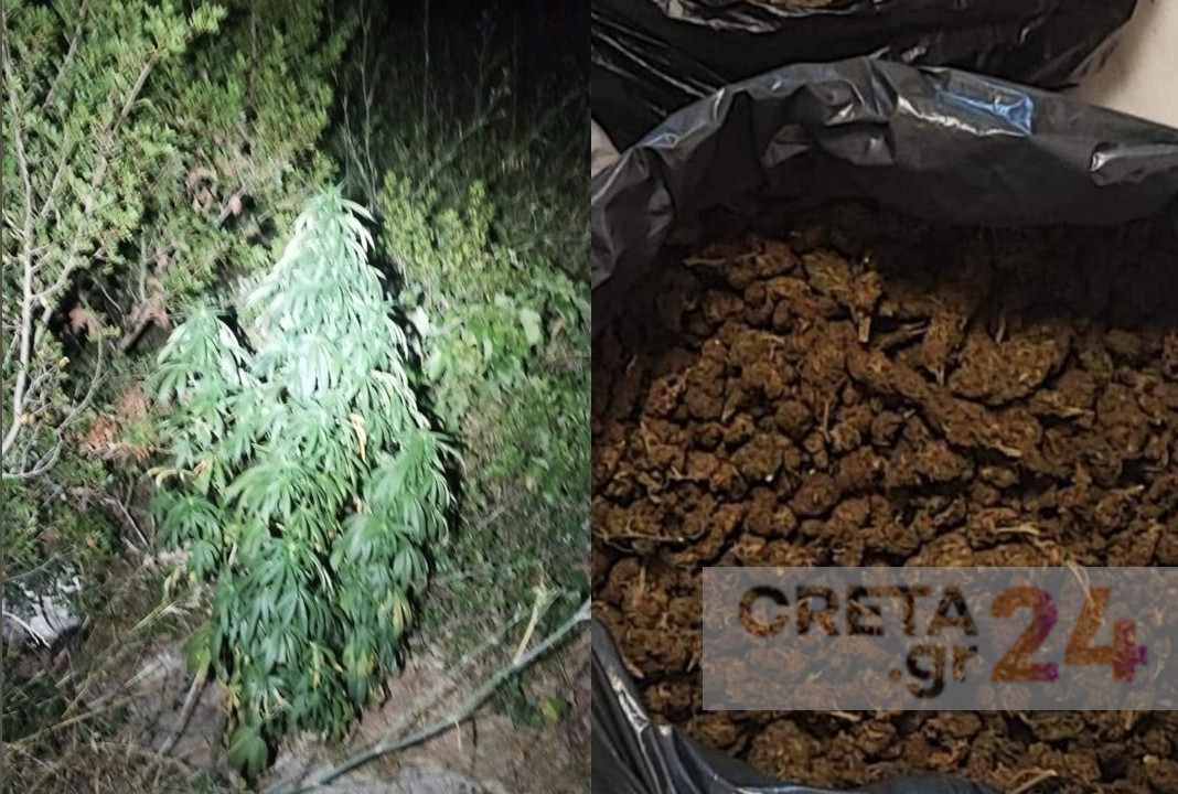 Τρεις συλλήψεις στην επιχείρηση με τραυματίες αστυνομικούς – Ναρκωτικά όπλα «αποκάλυψε» η έφοδος της ΕΛ.ΑΣ.