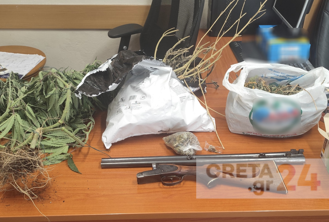 Hράκλειο: Είχε στο σπίτι του κάνναβη, χασισόδεντρα και κυνηγετικό όπλο