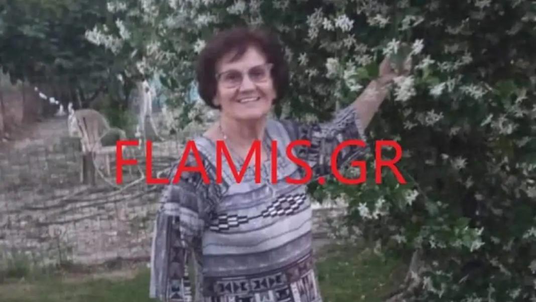 Η 86χρονη γειτόνισσα με τον θάνατό της έσωσε την 8χρονη – «Την έσπρωξε για να μην πέσει πάνω της η μηχανή»