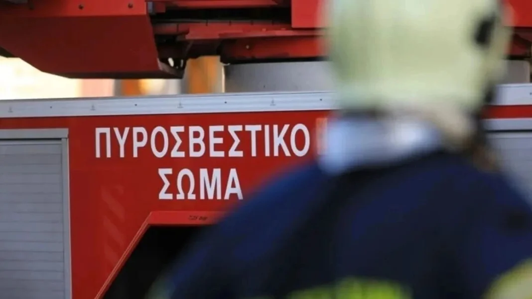 Φωτιά στα Μεσοχώρια Ευβοίας – Άμεση κινητοποίηση των πυροσβεστών