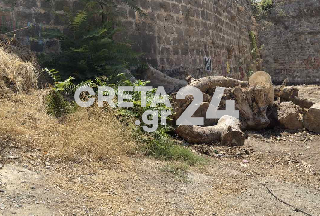 Ξερά χόρτα και κομμένοι κορμοί ακόμα και σήμερα στα Ενετικά Τείχη (βίντεο) – Τι απαντά ο Δήμος Ηρακλείου για την αποκάλυψη του  Creta24