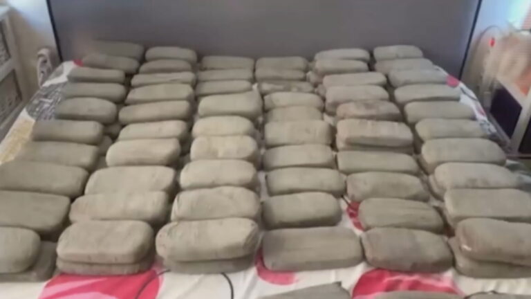 ΑΑΔΕ – Η μεγαλύτερη κατάσχεση KHAT: Μισός τόνος φυσικής κόκας αξίας 1.500.000 ευρώ εντοπίστηκε στο Ελ. Βενιζέλος
