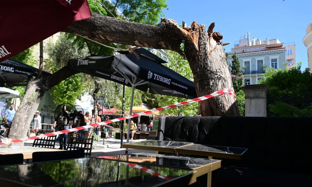 Πτώση δέντρου στην πλατεία Αγίας Ειρήνης: «Λιποθυμούσα και έχανα πολύ αίμα», είπε η τραυματίας