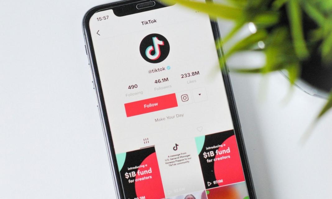 TikTok: Η βασιλική οικογένεια του Άμπου Ντάμπι θα αποκτήσει μερίδιο στις ΗΠΑ