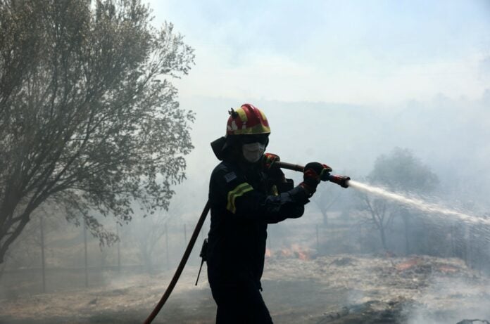 Oριοθετημένη η φωτιά στη Νύβριτο – Κατέστρεψε καλλιέργειες