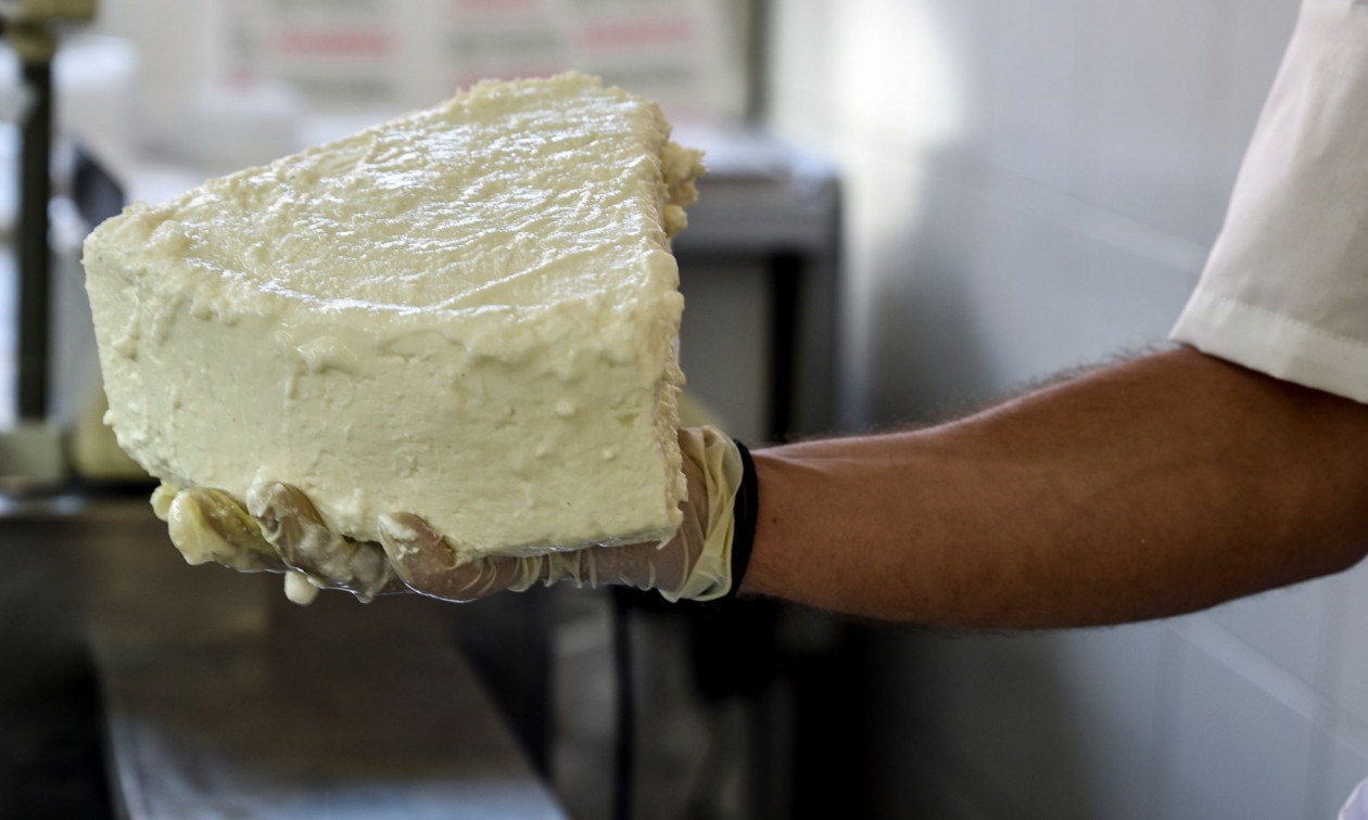 Η ευλογιά απειλεί τώρα τη φέτα: Ακόμη και για ελλείψεις στην αγορά, μιλούν οι κτηνοτρόφοι