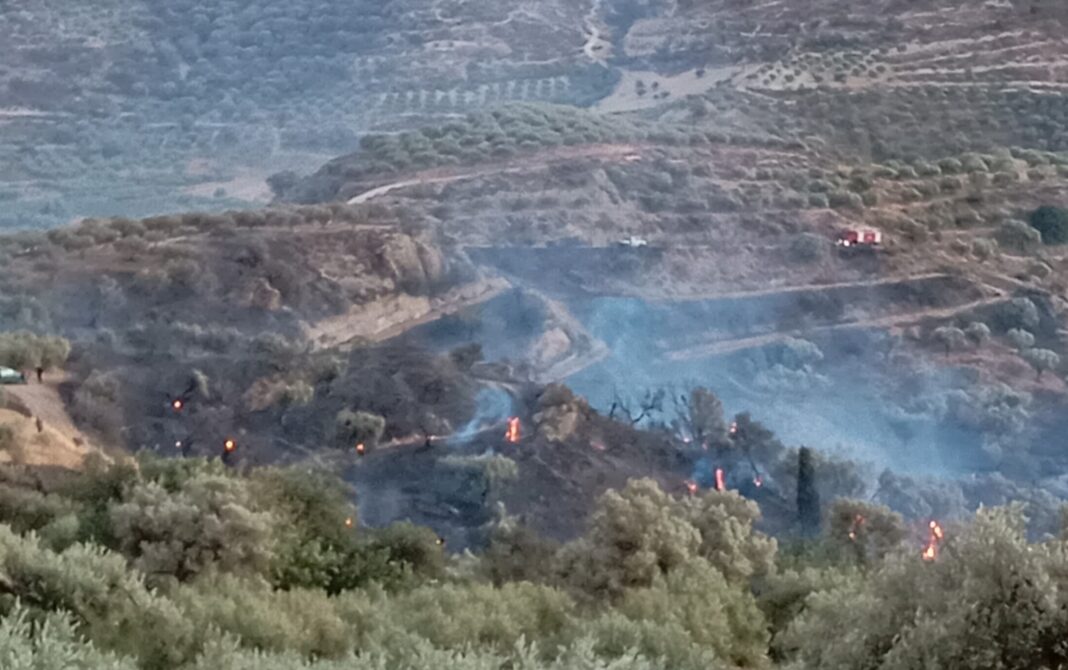 Ηράκλειο: Χωρίς ενεργό μέτωπο η φωτιά στη Νύβριτο