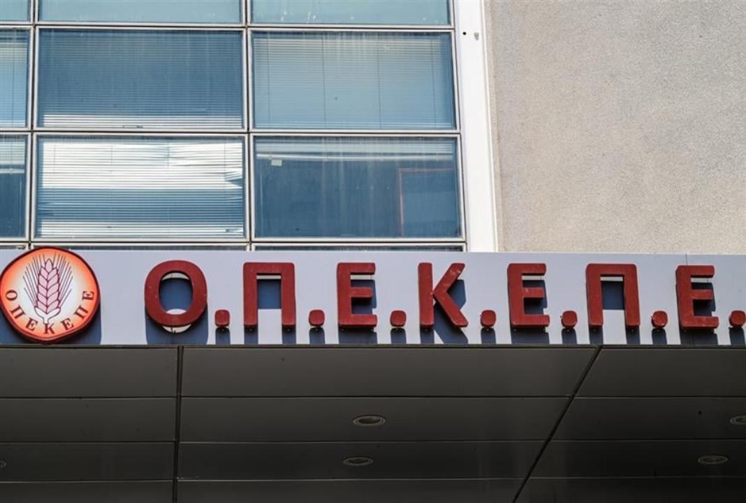 ΟΠΕΚΕΠΕ: Κομμώτριες, άνεργοι και αρωματοπώλης στο «πάρτι» με τις αγροτικές επιδοτήσεις – Ξεχωριστή έρευνα για «Φραπέ» και «Χασάπη»