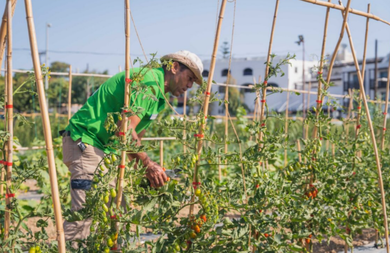 Metaxa Hospitality Group: Ο πρώτος Όμιλος φιλοξενίας στην Ελλάδα με πιστοποιημένες βιολογικές-αναγεννητικές γαίες από τη Δ.Η.Ω.