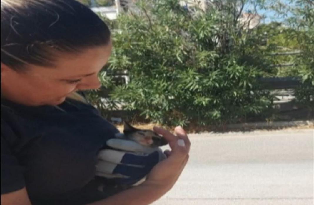 Υπάλληλοι του δήμου Βούλας έσωσαν γατάκι που έπεσε σε φρεάτιο
