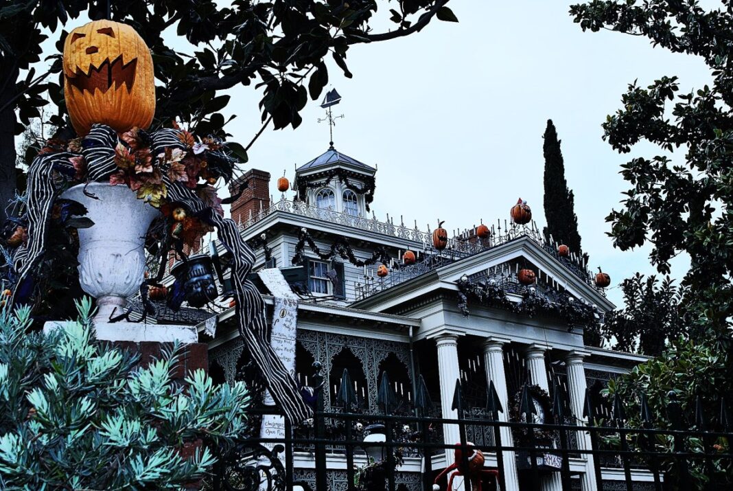 Θανατηφόρο τρενάκι του τρόμου στη Disneyland: Γυναίκα πέθανε έπειτα από βόλτα