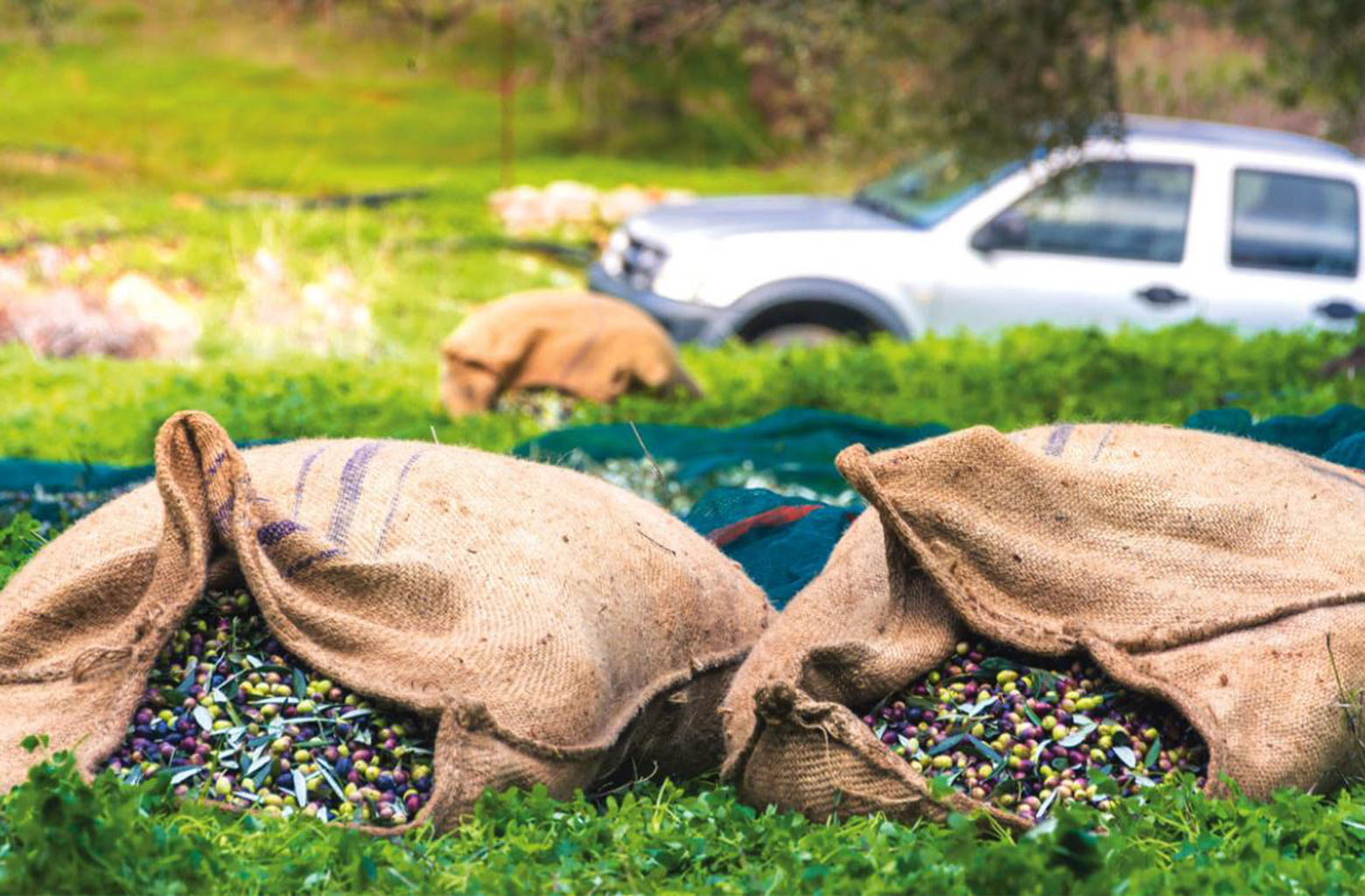 H αγγελία από εργάτη γης για 90 ευρώ μεροκάματο προκάλεσε αντιδράσεις