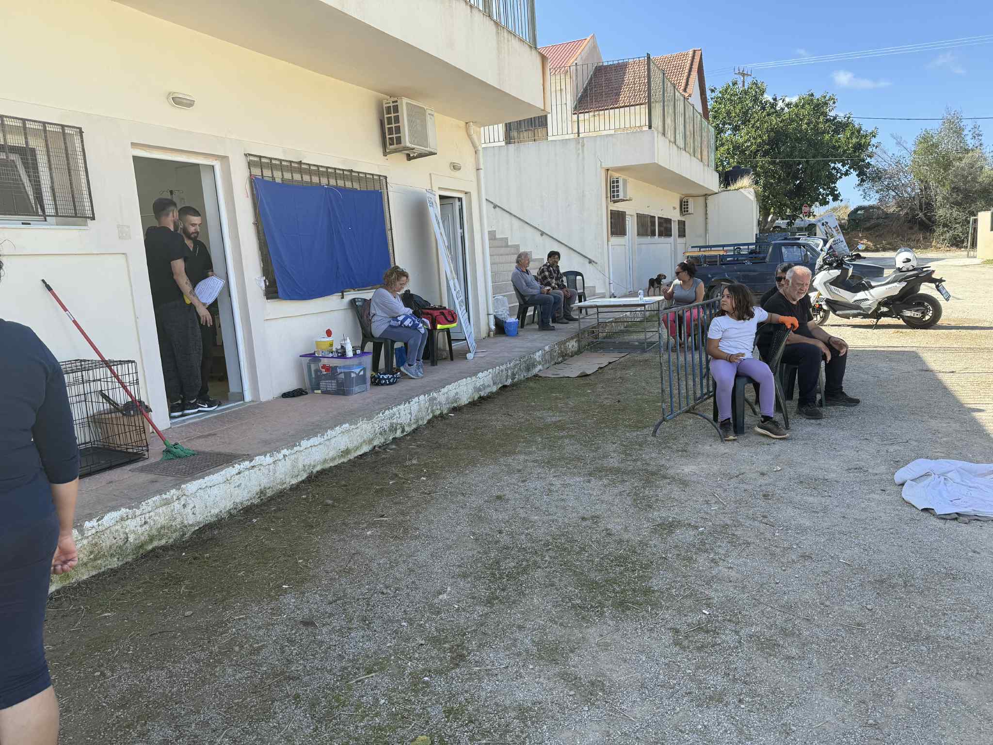 Επιτυχημένη η δράση φροντίδας ζώων συντροφιάς στην Πόμπια