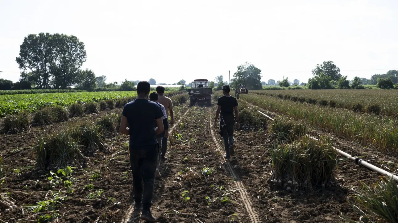 ΟΠΕΚΕΠΕ: Άρχισαν οι πληρωμές στους αγρότες – Ποιες ενισχύσεις καταβάλλονται σήμερα