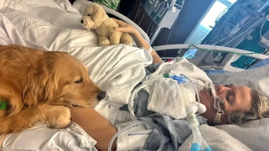 dog_therapy Σκύλος θεραπείας ξύπνησε γυναίκα από ιατρικό κώμα στη Φλόριντα