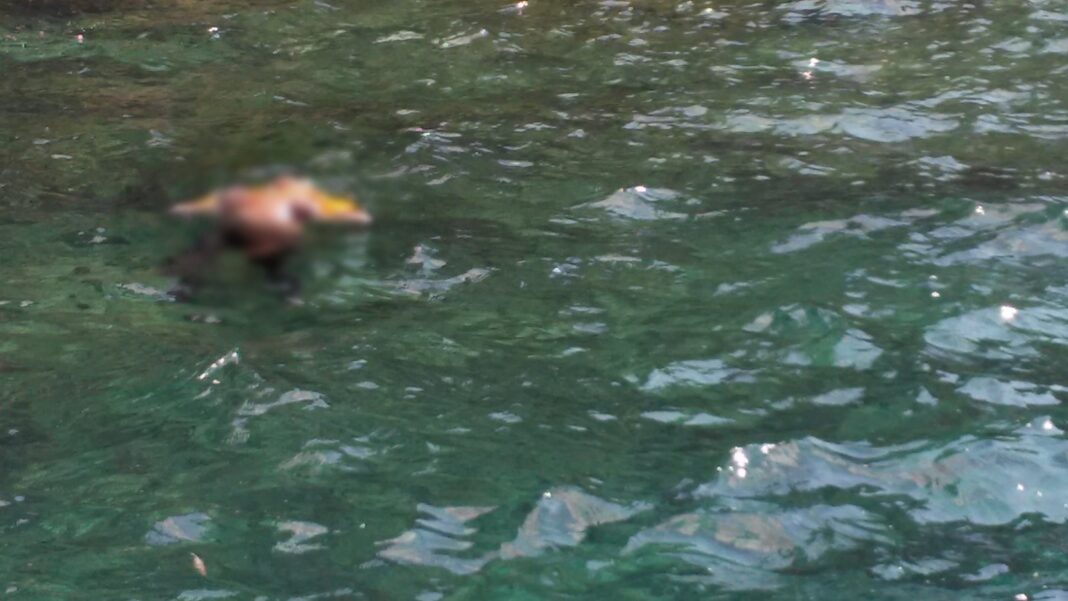 foto_ Φόδελε: Εντοπίστηκε σορός άγνωστου άνδρα σε προχωρημένη σήψη στη θάλασσα!