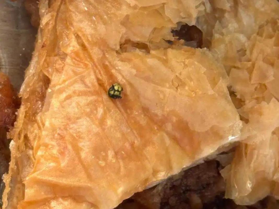 Βρέθηκε κεφάλι σφήκας μέσα σε γλυκό που αγόρασε ηλικιωμένη για το εγγόνι της