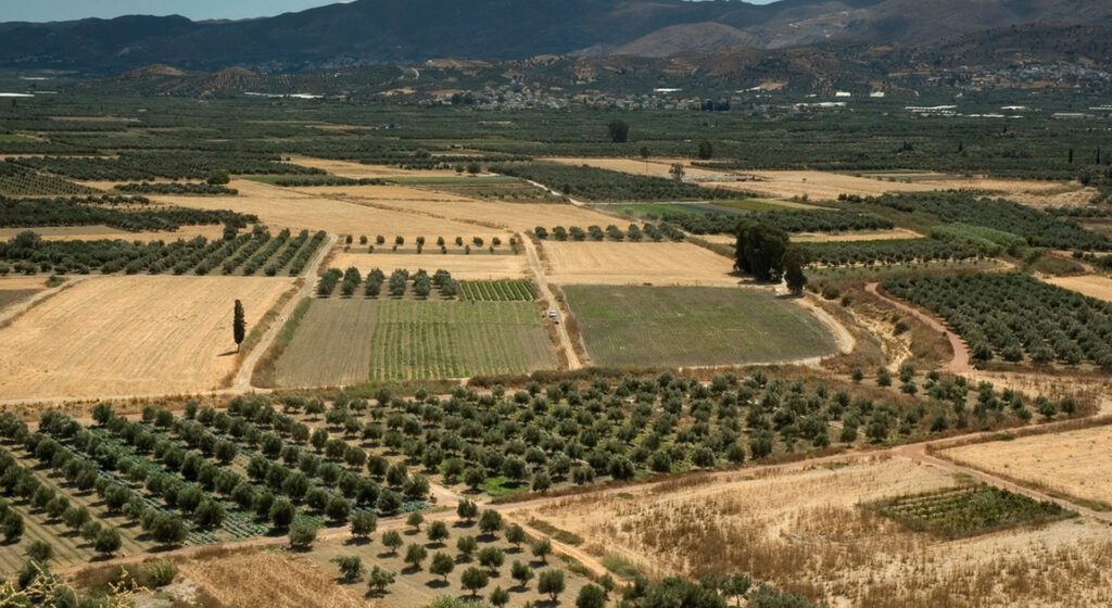 Στεγνώνει ο κάμπος της Μεσαράς – “Σκάβουμε στον πάτο της λεκάνης” τονίζει ο Γρ. Νικολιδάκης