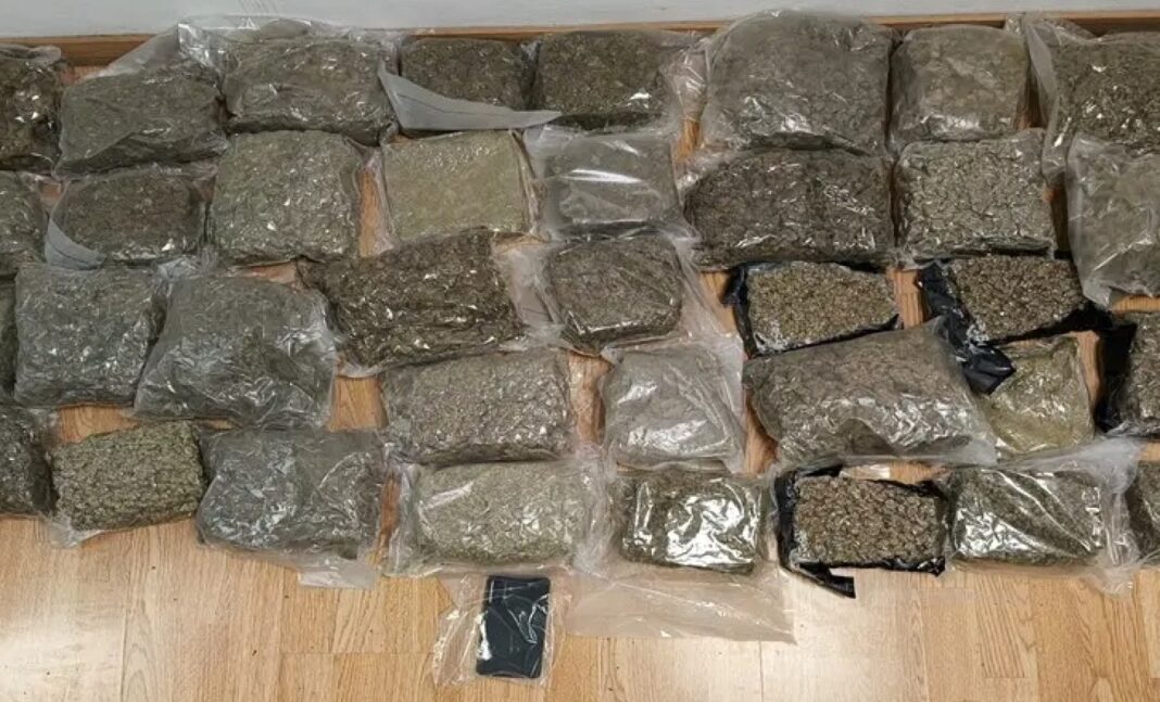 kannavi-elas3 Προσπάθησε να περάσει 19 κιλά κάνναβης μέσα σε βαλίτσα στο «Ελ. Βενιζέλος» – Φωτογραφίες