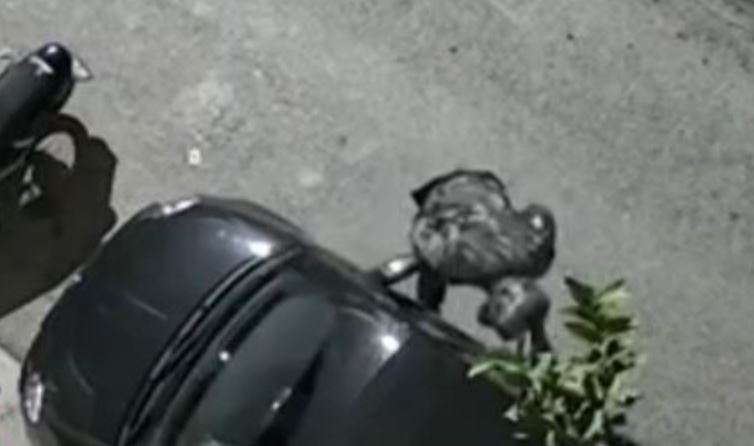 klopi Επαγγελματική κλοπή αυτοκινήτου στο Περιστέρι μέσα σε 90 δευτερόλεπτα