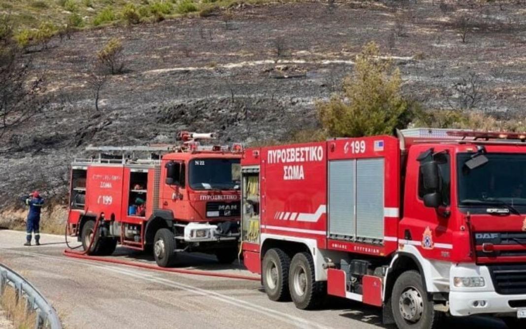 Άμεση η κινητοποίηση της Πυροσβεστικής για τη φωτιά στο Οροπέδιο Καθαρού