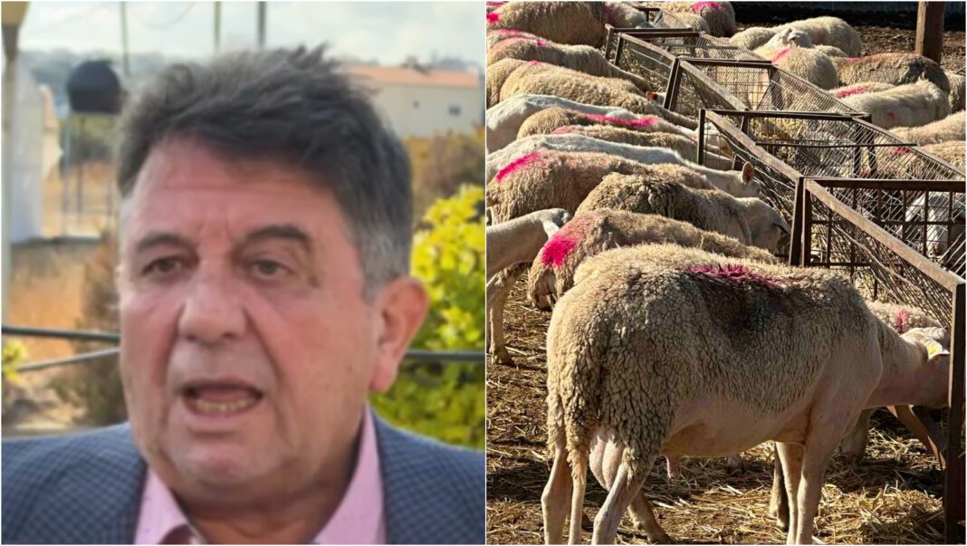 ΟΠΕΚΕΠΕ: Στο Ηράκλειο o Nίκος Κακαβάς με αφορμή τον έλεγχο στις Μοίρες: «Δεν είχε ούτε τα… μισά ζώα από αυτά που είχε δηλώσει»