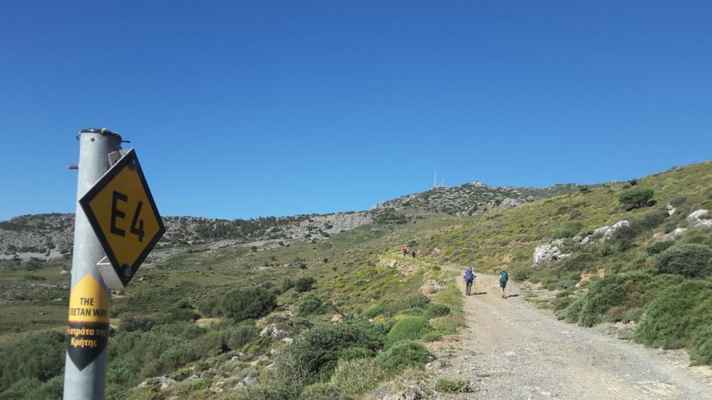 Τραγωδία στην Παλαιόχωρα με τον 70χρονο πεζοπόρο