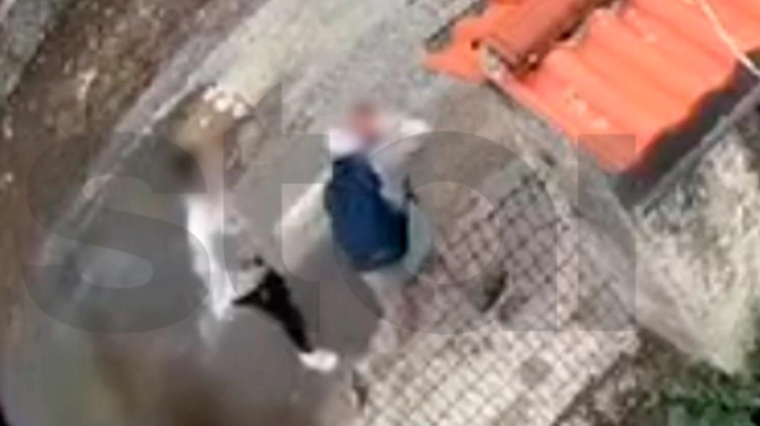 Ελεύθερος με περιοριστικούς όρους ο 13χρονος για τις μαχαιριές στην Τρίπολη – Βγαίνει από τη ΜΕΘ ο 12χρονος