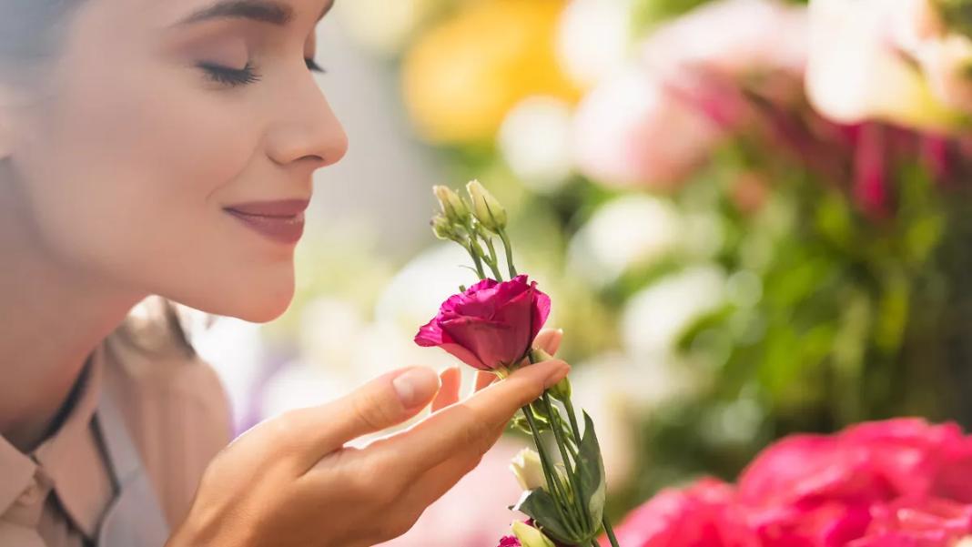 woman_smell_flower_rose_1864367080
