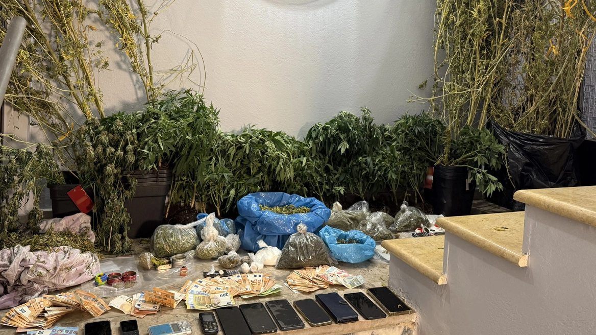 Τρία πλήρως εξοπλισμένα εργαστήρια κάνναβης εντόπισε η Αστυνομία στην Τροιζηνία