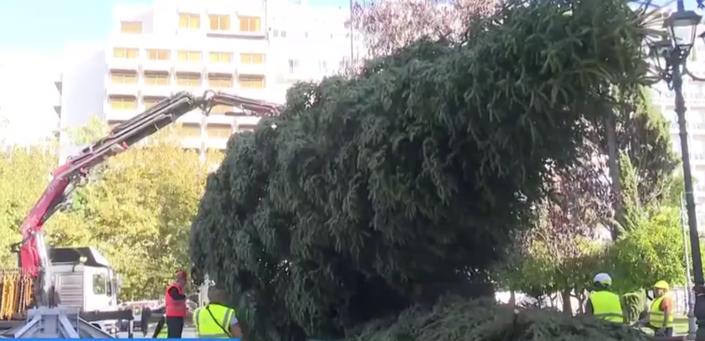 Σε Σύνταγμα και Αριστοτέλους τα χριστουγεννιάτικα δέντρα σε Αθήνα και Θεσσαλονίκη