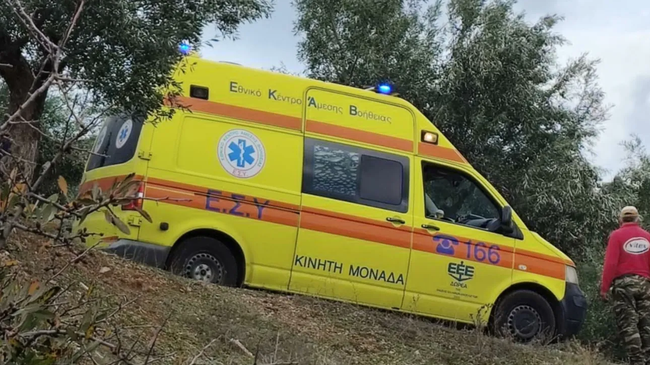 Τραγωδία στην Φθιώτιδα: Νεκροί δύο φίλοι σε τροχαίο – Το ΙΧ τους «καρφώθηκε» σε ελιά