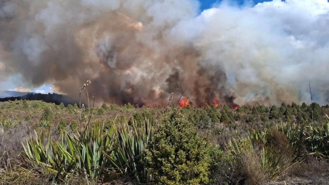 Μεγάλη πυρκαγιά σε εθνικό πάρκο της Νέας Ζηλανδίας – Στάχτη 11.000 στρέμματα