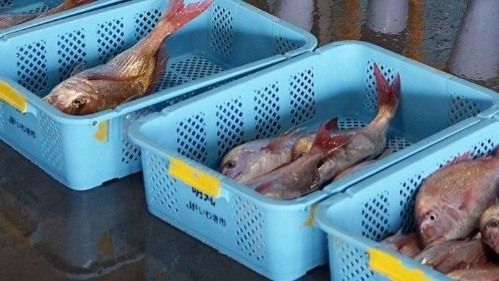 Διπλωματική ένταση ανάμεσα σε Ιαπωνία και Κίνα – Το Πεκίνο «παγώνει» τις εισαγωγές θαλασσινών