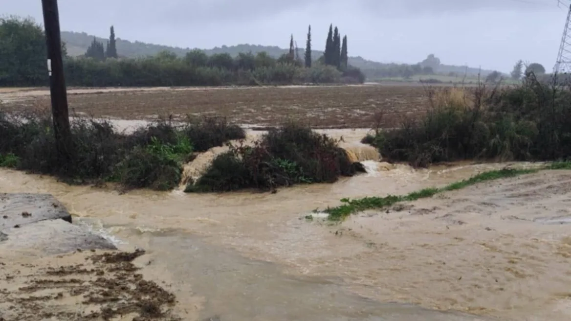 Αγρίνιο: Προβλήματα από τις βροχές – Πλημμύρισαν δρόμοι, μπήκαν νερά σε σπίτια (βίντεο)