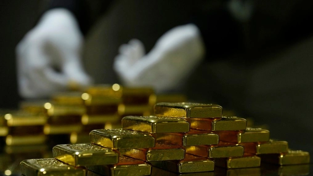 Γαλλία: Έσκαβε για να φτιάξει πισίνα και έγινε πλουσιότερος κατά… 700.000 ευρώ