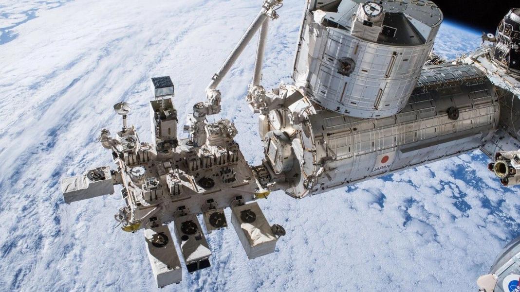 Βρύα επέζησαν έξω από τον ISS για εννέα μήνες – και συνέχισαν να αναπαράγονται όταν γύρισαν στη Γη