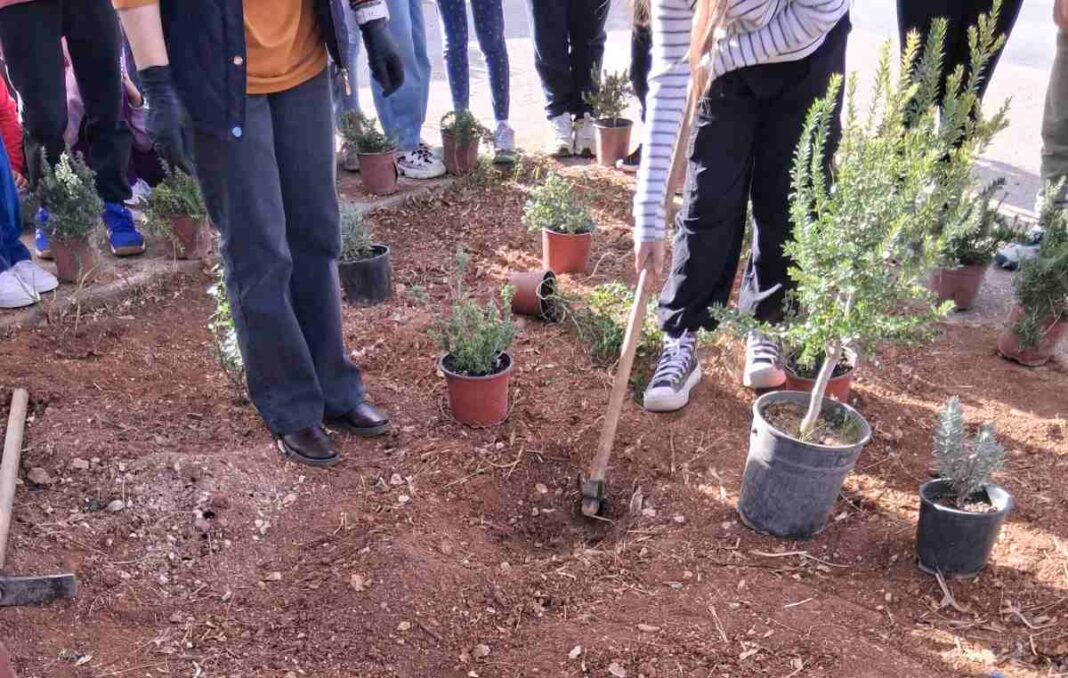 Ηράκλειο: Μαθητές έβαλαν… πράσινο στο πάρκο δίπλα στο σχολείο τους (εικόνες)
