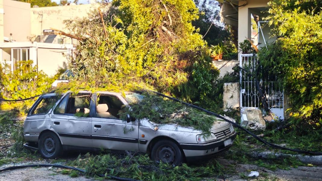 Έπεσαν δέντρα από το μπουρίνι στην Κηφισιά – Ζημιές σε μάντρες σπιτιών και σταθμευμένα ΙΧ