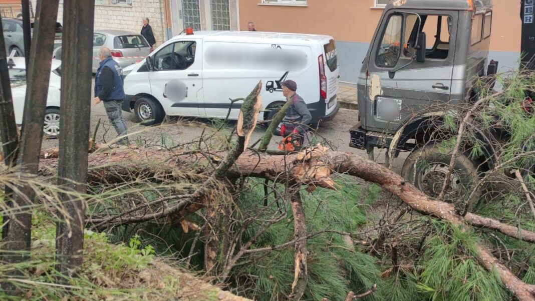 Ιωάννινα: Πεύκο ξεριζώθηκε και κατέληξε σε γήπεδο σχολείου