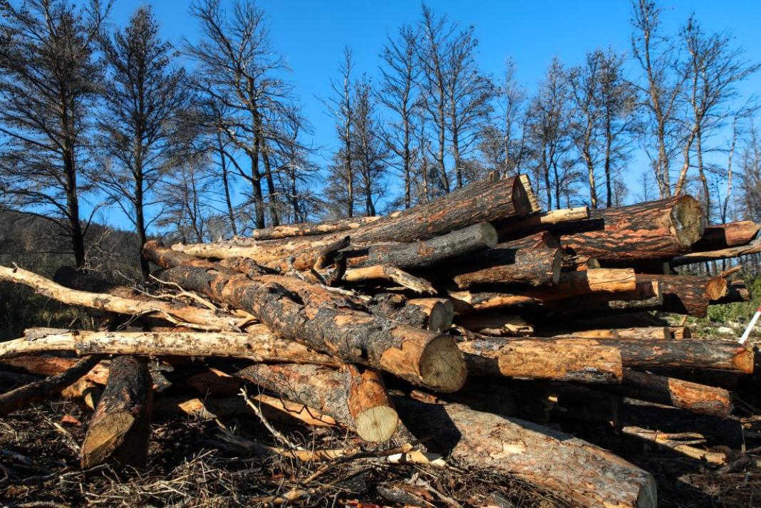 Επίδομα θέρμανσης: Τι γίνεται με όσους έχουν τζάκι και σόμπες; Τα ποσά για καυσόξυλα και πέλετ