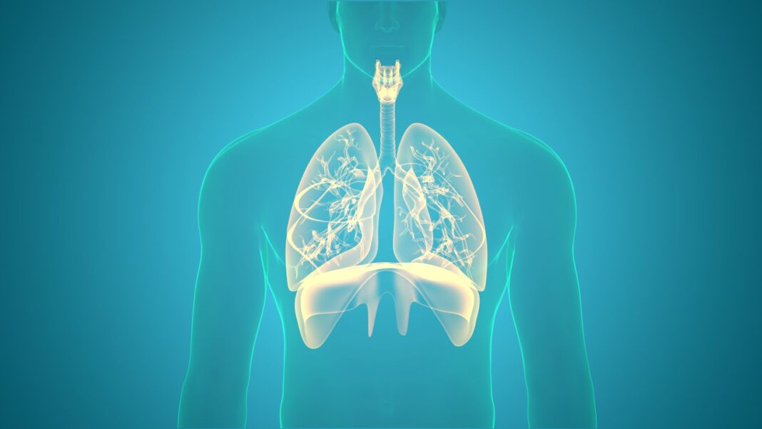 Τι είναι η κυστική ίνωση και τι προκαλεί στο σώμα – Τα συμπτώματα και η διάγνωση