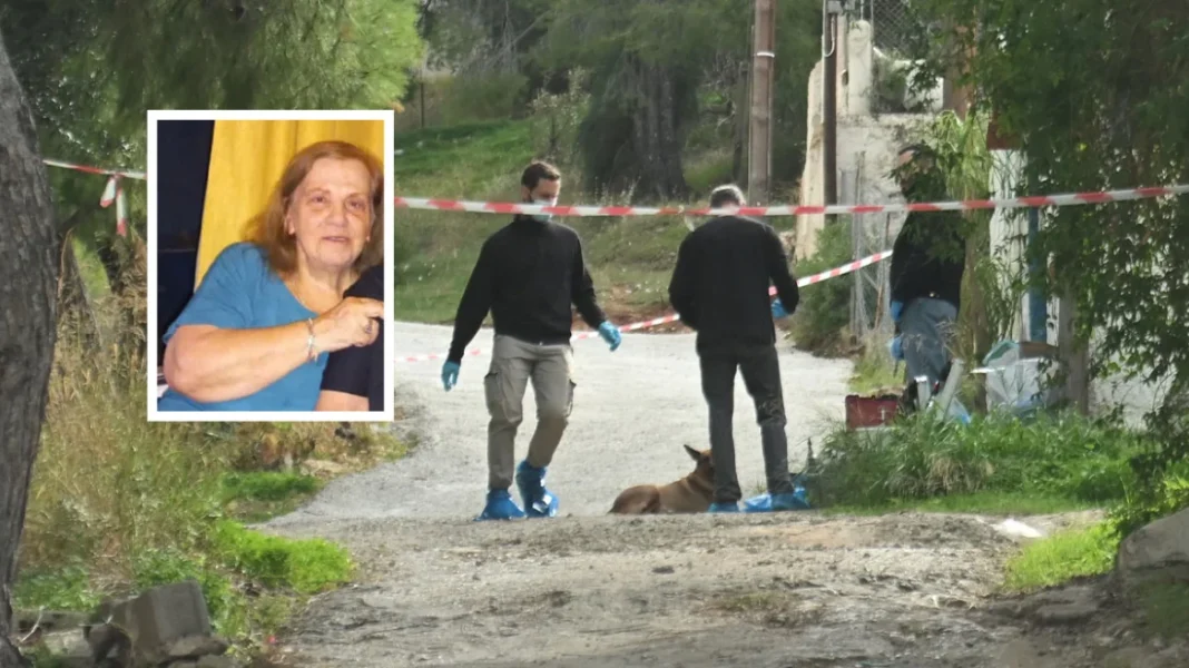 Ηχητικά ντοκουμέντα από τη δολοφονία στη Σαλαμίνα: Η 75χρονη ξεψύχησε λέγοντας το «Πάτερ Ημών», κλαίγοντας και παρακαλώντας για τη ζωή της