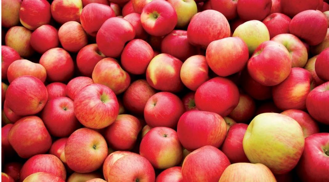 Μήλα: Εκτινάχθηκαν οι εισαγωγές, κίνδυνος για την εγχώρια παραγωγή – Τι λένε εκπρόσωποι του κλάδου