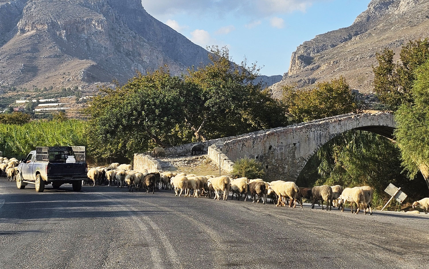ΟΠΕΚΕΠΕ: Την ενοχή 14 κατηγορουμένων για παράνομες επιδοτήσεις πρότεινε ο Εισαγγελέας – Οι περισσότεροι από την Κρήτη