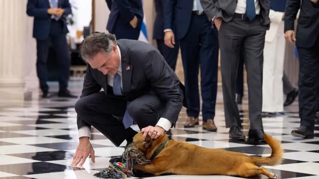 Ο Πίνατ… έκλεψε την παράσταση στο Μέγαρο Μαξίμου στις συνομιλίες για τα ενεργειακά