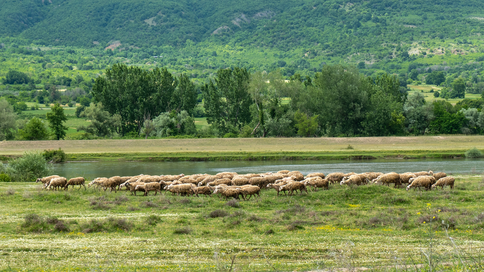OΠΕΚΕΠΕ: Ούτε ευρώ πίσω από τις παράνομες επιδοτήσεις!