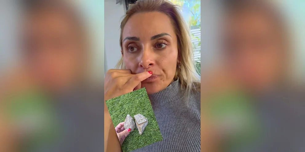 Βασιλική Μιλλούση: Κατήγγειλε ότι ανήλικοι πέταξαν πέτρες στο σπίτι της – «Αν τα παιδιά μου έπαιζαν στον κήπο;»