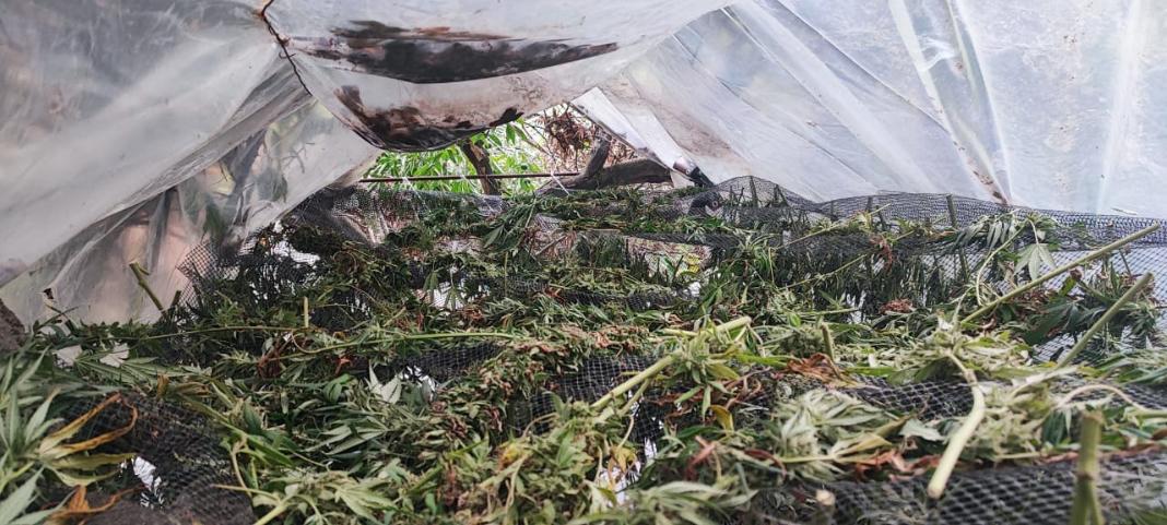 xania 4 (1) Χανιά: Χειροπέδες σε δύο καλλιεργητές κάνναβης – Φωτογραφίες από τα ευρήματα των αστυνομικών